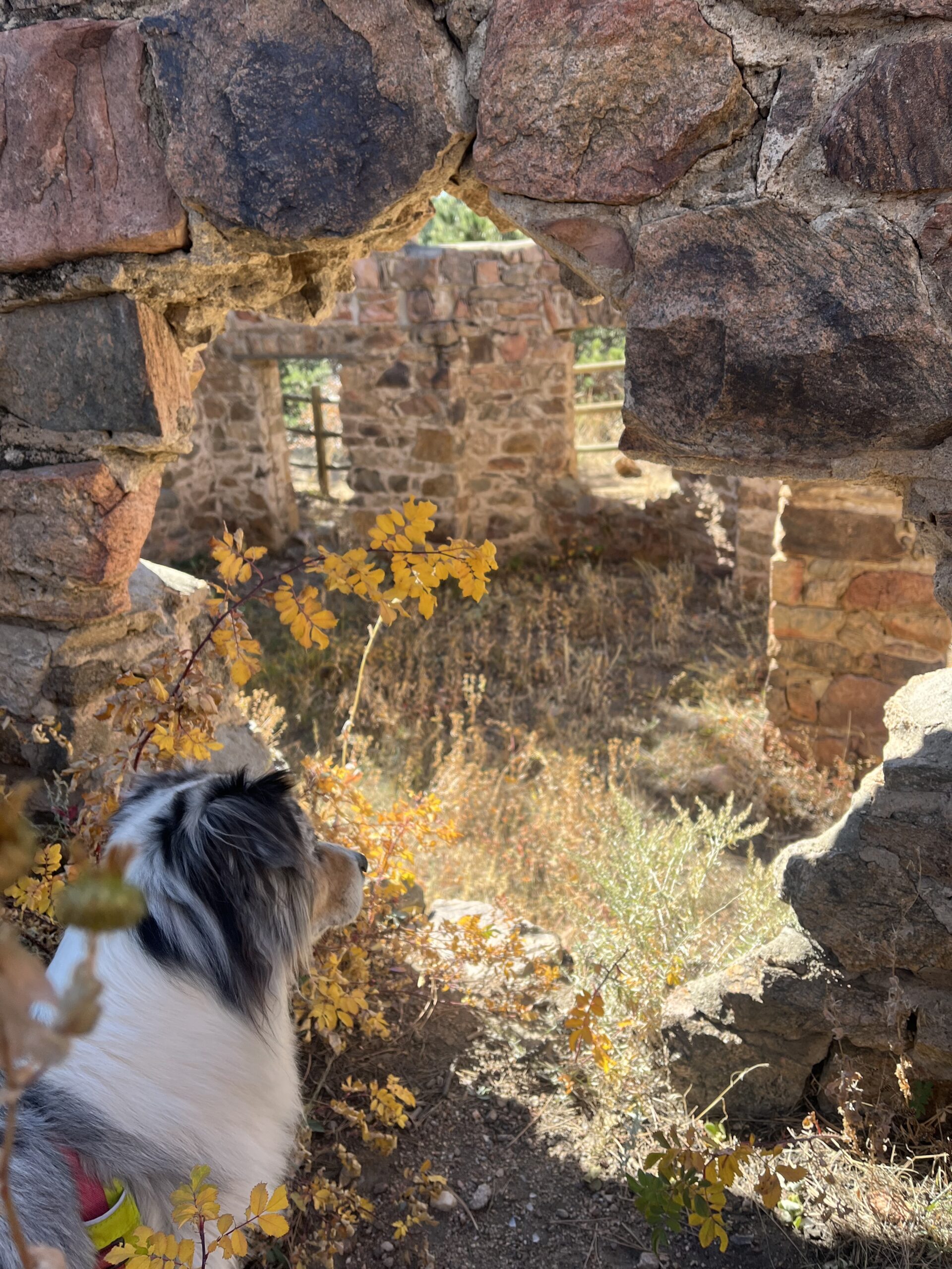 Home - Bark Country